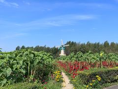 -北纬44度·金珠花海休闲农业旅游景区