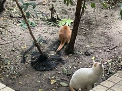 -复旦大学附属华山医院(总院)