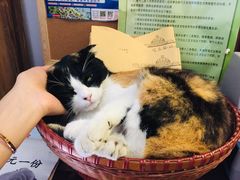 -杨桃院子旅馆(厦门鼓浪屿中华红墨店)