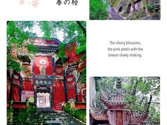 -南山植物园