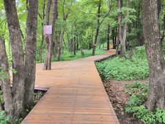 -吉林市朱雀山国家森林公园