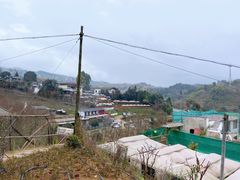 -玫瑰庄园·自助烧烤·烤全羊·团建拓展(龙泉山店)