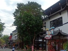 -鹅滋道(甘坑古镇店)