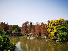 -海珠湖公园