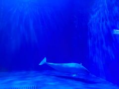 -多彩贵州城极地海洋世界