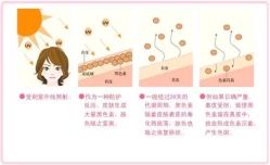 -E.beauty驻颜·痘敏肌调理中心
