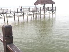 -瑶湖郊野森林公园
