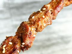 -新概念东北菜(场北店)
