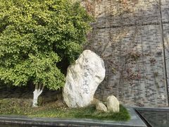 -八大山人梅湖景区