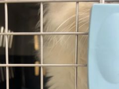 -瑞派康怡24h宠物医院·犬猫医疗中心·微创绝育(瑞景分院)