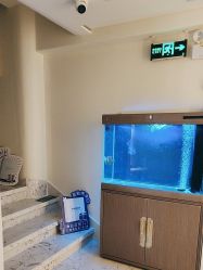 -海涛医疗美容·面部抗衰·注射美鼻