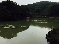 -山明水秀大饭店