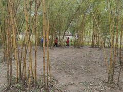 -官洲(地铁站)