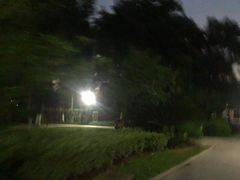 -河泥荡文化公园