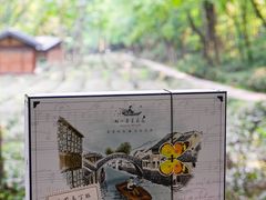 -好一朵茉莉花(老门东店)