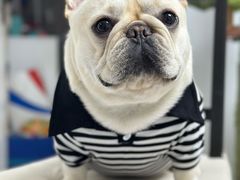 -爱侣宠医·鹦鹉专科·小型哺乳类·异宠专科(灵石路店)