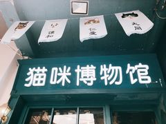 -猫咪博物馆(顶澳仔猫街店)