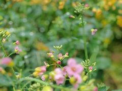 -韶山毛泽东同志故居