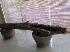 -金钉子远古世界景区
