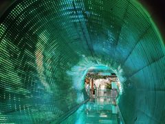 -正佳自然科学博物馆