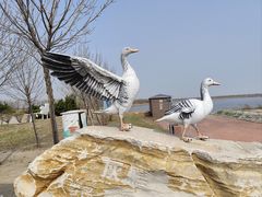 -南大港湿地风景区
