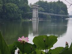 -东湖落雁景区