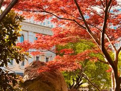 -上海兴国宾馆香樟园西餐厅