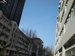 -西北大学(桃园校区)