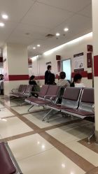 -中国福利会国际和平妇幼保健院(徐汇院区)