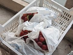 -马陆小张葡萄园农家乐