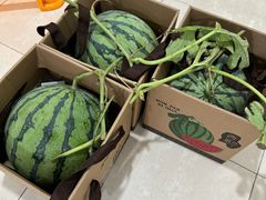 -南汇水蜜桃采摘(大团店)