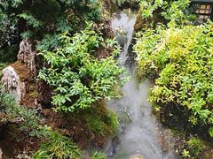 -唐河王记·南阳民间菜(国基路店)