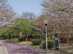 -尚贤河湿地
