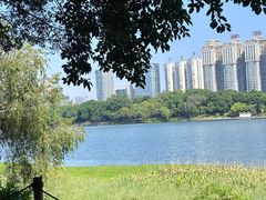 -南宁南湖公园