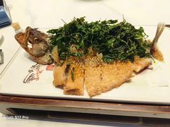 -老泰安•泰安菜(迎胜路店)