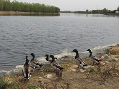 iphone_upload_pic-湖景温泉