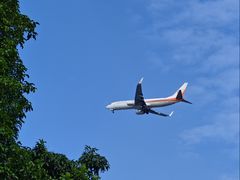 -宝安西湾红树林湿地公园