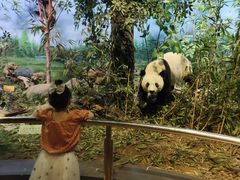 -陕西自然博物馆