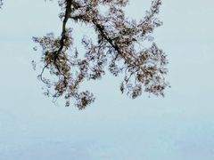 -朝阳公园