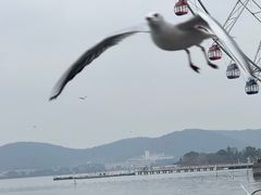 -蠡湖大桥公园