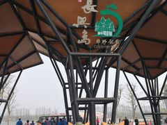 -上海长兴岛郊野公园