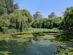 -三忘湖 SWANSEEN(柳荫公园店)