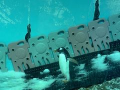 -正佳极地海洋世界