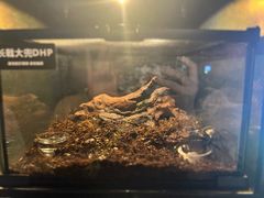 -太平洋海底世界