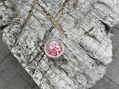 -COSTA COFFEE(上海虹口公园店)