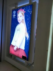 -安奈儿(清扬茂业店)