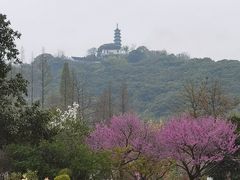 -苏州上方山国家森林公园