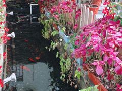 -老洋房花园饭店(绍兴路店)