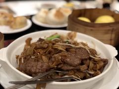 -食为先(Shark Fin)