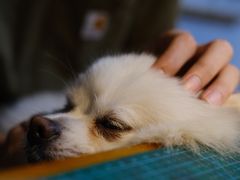 -零几体验diy皮具工作室(振业城店)